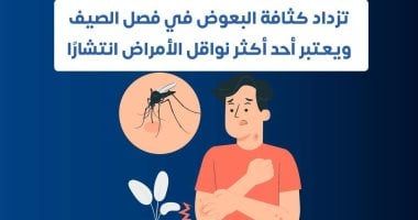 كيف يمكن الوقاية من لدغات البعوض؟ وزارة الصحة توضح