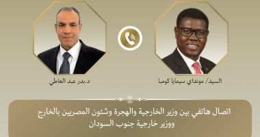 وزير الخارجية: قضية مياه النيل هى قضية وجودية بالنسبة لمصر