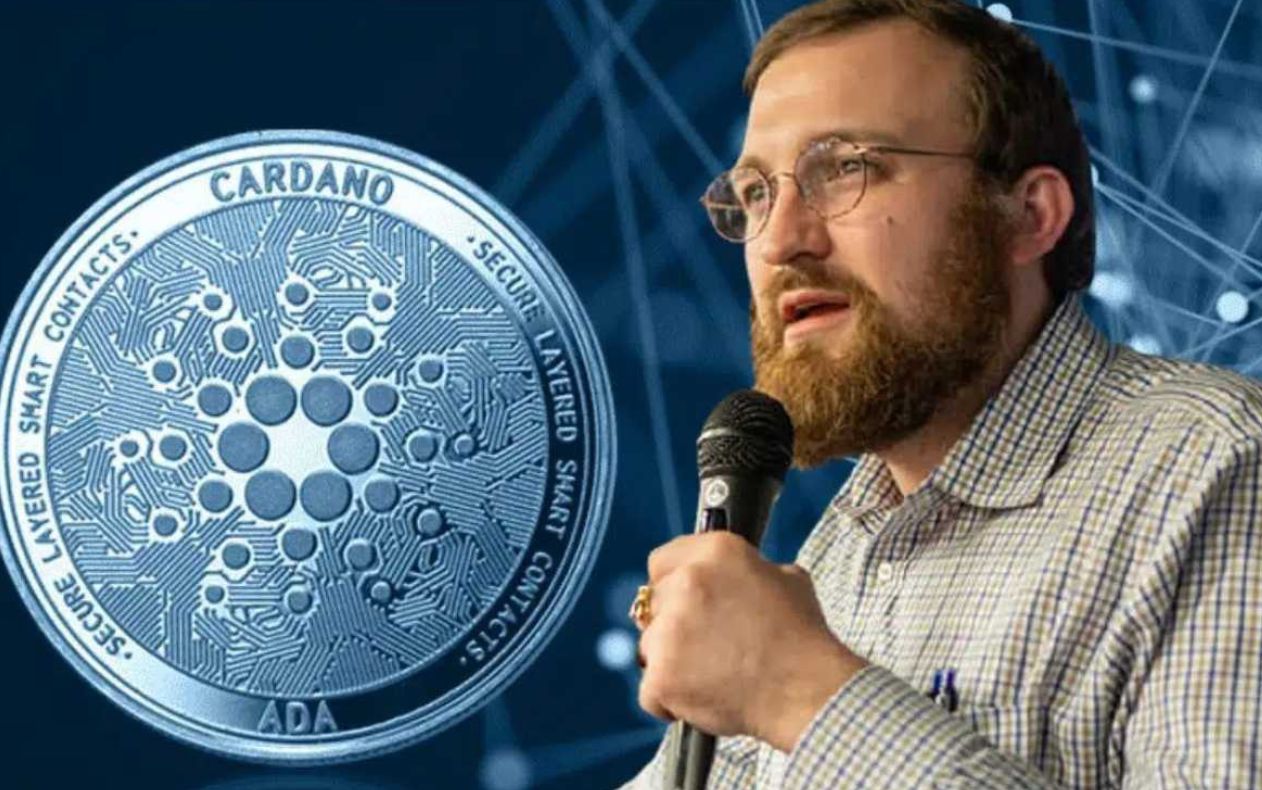 مؤسس كاردانو: رفضت صفقة مع السلفادور بسبب مخاوف تتعلق بالعصابات والجوانب القانونية