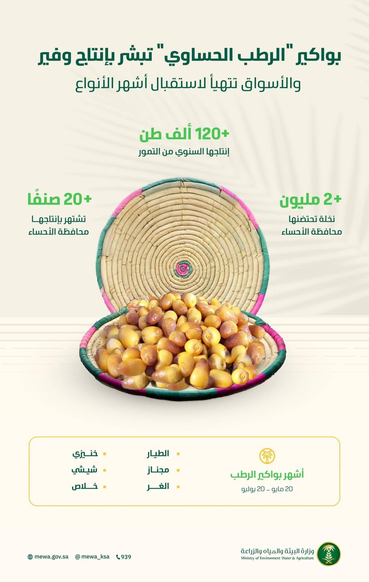 بواكير «الرطب الحساوي» تبشر بإنتاج وفير والأسواق تتهيأ لاستقبال أشهر أنواعه