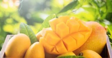 من المانجو إلى البطيخ.. دليل الفواكه الصيفية فى مصر