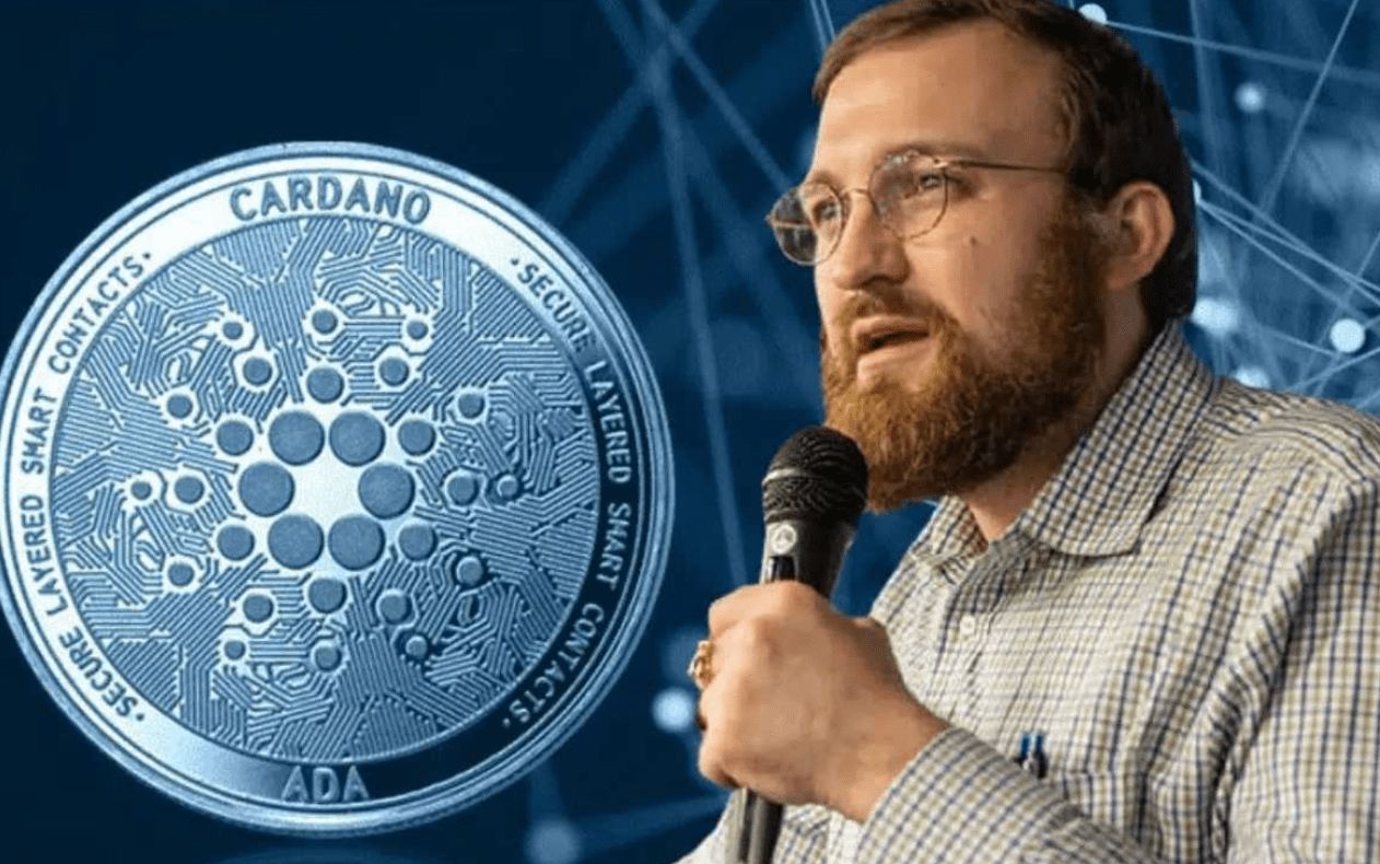 مؤسس كاردانو: رفضت صفقة مع السلفادور بسبب مخاوف تتعلق بالعصابات والجوانب القانونية