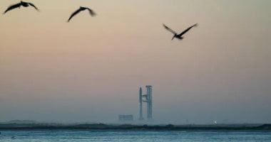 تكنولوجيا: القوات الجوية الأميركية تلغى خططها لبناء منصات هبوط لمركبة "ستارشيب" فى محمية للطيور