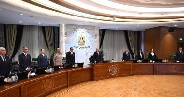 مجلس الوزراء يوافق على طلب وزارة الزراعة بإقامة بعض مشروعات النفع العام