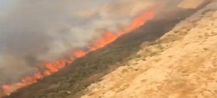 "النشرة": الدفاع المدني يعمل على إخماد حريق كبير في تلة مار الياس في حارة صيدا