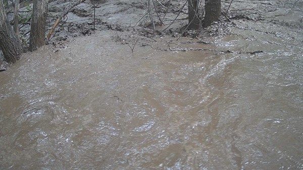 وفيات بفيضانات في نيو مكسيكو الأميركية