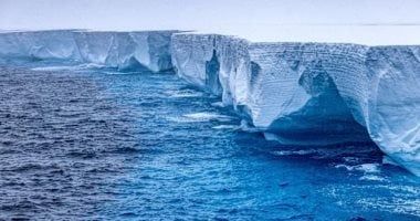 تكنولوجيا: مخلوقات مجهرية تحارب تغير المناخ.. كيف تساهم مجدافيات الأرجل فى تبريد الكوكب؟