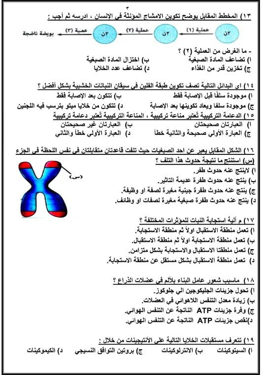 مراجعة ليلة الامتحان.. أسئلة استرشادية فى الأحياء لطلاب الثانوية العامة