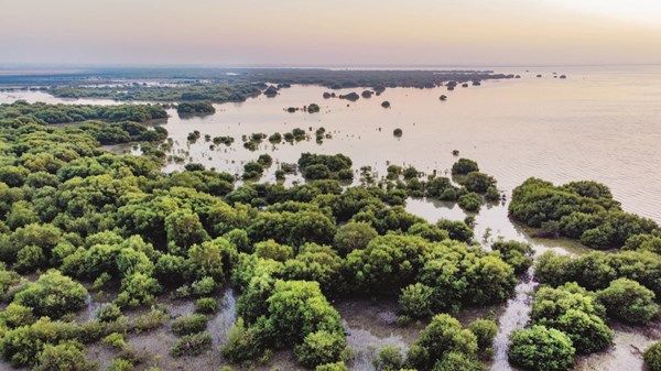 إطلاق أول برنامج تدريب قيادة صديق للبيئة في دولة الإمارات