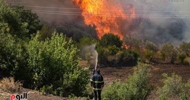 الأمم المتحدة تواصل دعم جهود الاستجابة لحرائق الغابات فى سوريا