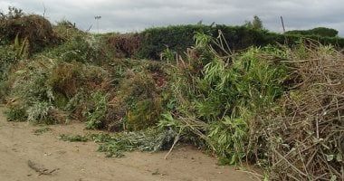 كيف شجع القانون على تدوير المخلفات الزراعية للاستفادة القصوى منها؟