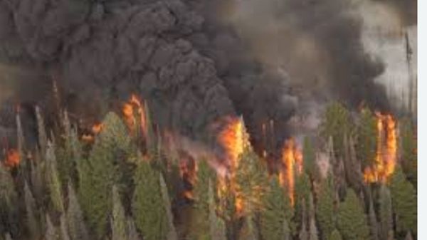 عمليات إجلاء غرب أميركا جراء حرائق غابات