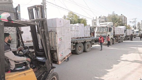 13 شاحنة مساعدات إماراتية تصل إلى غزة