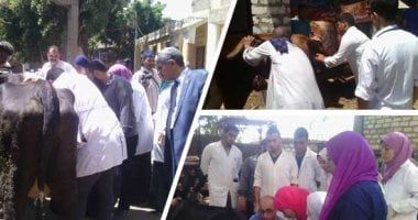 انطلاق الحملة القومية للتحصين ضد الحمى القلاعية والوادى المتصدع بالجيزة غدا