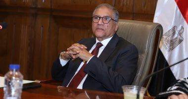 السادات: نثق فى وعى الشعوب.. والفتن الإلكترونية لا تمس عمق الأخوة بين المصريين والعرب