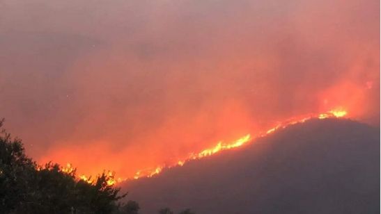 سوريا تغلق معبراً مع تركيا بسبب اقتراب الحرائق من الحدود