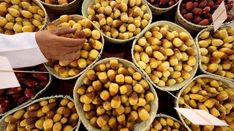 الامارات | الرطب عنوان للكرم والضيافة في «عام المجتمع»