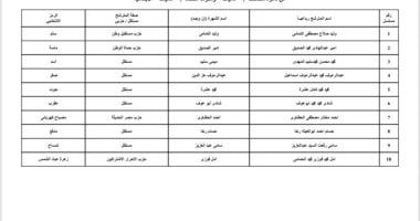 ننشر قوائم المرشحين لانتخابات مجلس الشيوخ عن دائرة محافظة دمياط