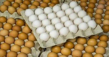 طرح بيض المائدة بمنافذ وزارة التموين.. اعرف الأسعار