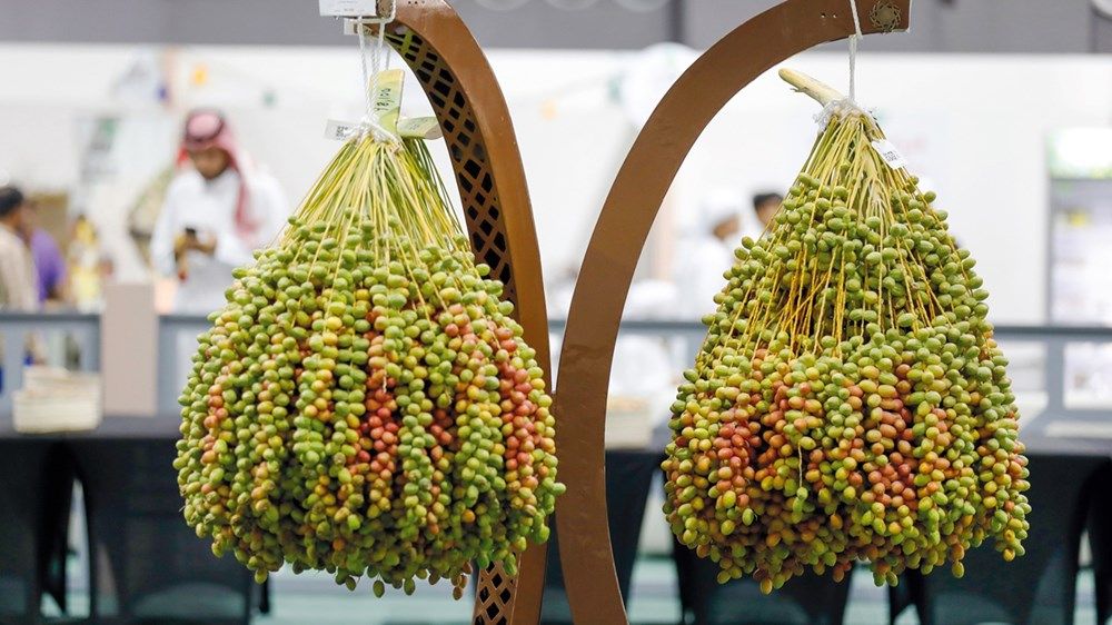 برعاية منصور بن زايد.. «ليوا للرطب» ينطلق غداً بمشاركة مجتمعية واسعة