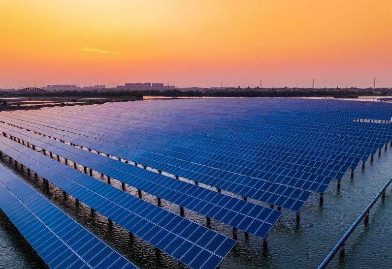 تكنولوجيا: 370 ألف لوحة شمسية تزيّن أكبر مزرعة أسماك هجين فى العالم بالصين