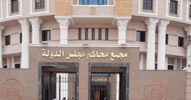 القضاء الإدارى تستقبل 40 طعنا على انتخابات الشيوخ بعد إعلان الأسماء والرموز