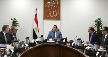 رئيس الوزراء يتابع إجراءات توفير الاعتمادات المالية المطلوبة للمواد البترولية اللازمة لتشغيل محطات الكهرباء