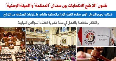 طعون الترشح للانتخابات بين سندان المحكمة والهيئة الوطنية.. نقلا عن برلمانى