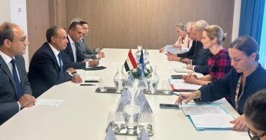 وزير الخارجية يستعرض جهود مصر للتوصل لوقف إطلاق نار في غزة