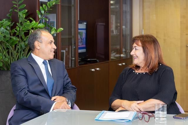 وزير الخارجية يستهل زيارته لبروكسل بلقاء مفوضة الاتحاد الأوروبي لشئون المتوسط