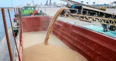 ميناء دمياط يستقبل 24500 طن قمح قادمة من أوكرانيا