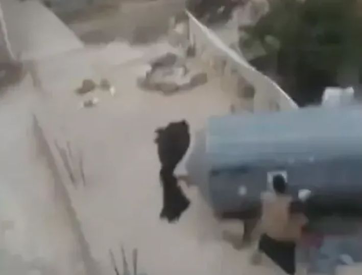 القبض على العم قاتل ابن أخيه داخل فناء منزله "جريمة موثقة بالصوت والصورة "