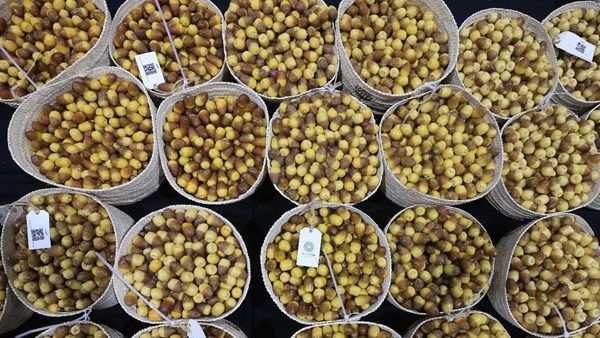 مهرجان ليوا للرطب يستقبل 3.2 طن في يومه الأول