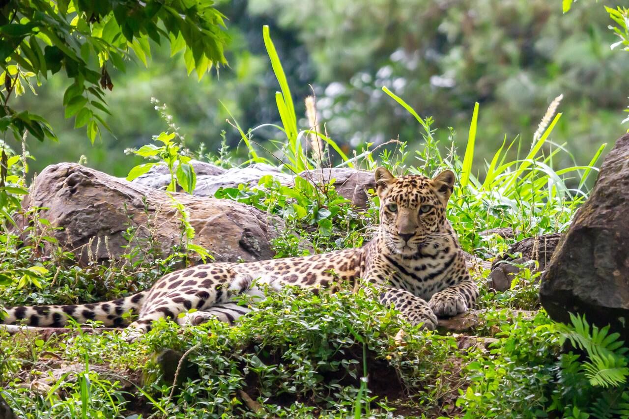 أسماء بنات عربية قوية الشخصية حسب الحروف الأبجدية
