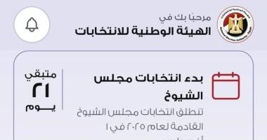 انتخابات عصر التطور الرقمي.. تطبيق الهيئة الوطنية يحدد لجنتك بضغطة واحدة
