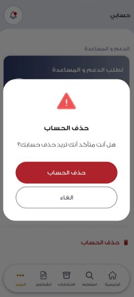 "دليلك الانتخابي" الآن على موقع وتطبيق الهيئة الوطنية للانتخابات