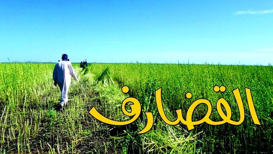 القضارف تؤكد مراجعة كافة القوانين المتعارضة مع قانون تشجيع الاستثمار بالولاية