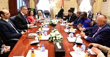 رئيس حقوق الإنسان بمجلس النواب يلتقى مسؤولا بالأمم المتحدة لبحث سبل التعاون