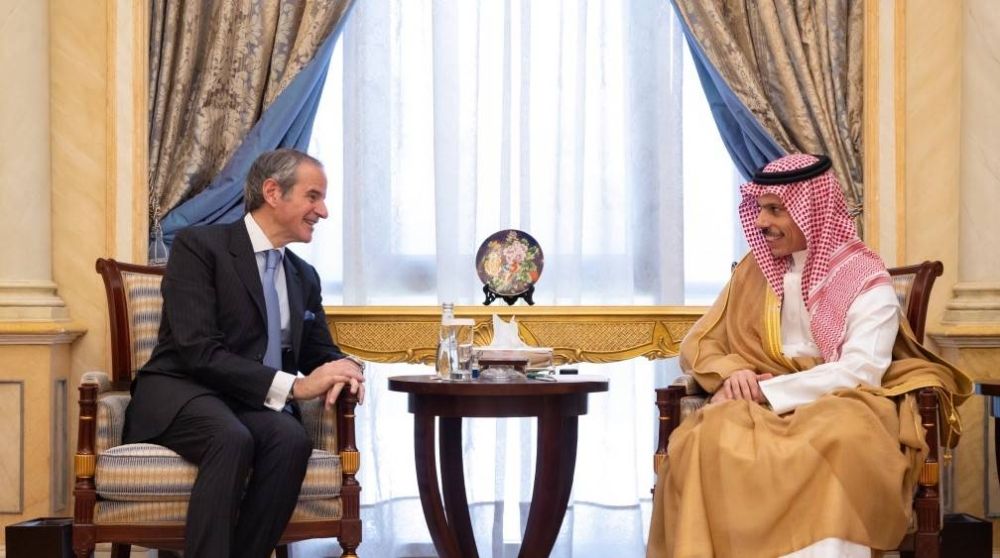 وزير الخارجية ومدير الطاقة الذرية يبحثان تعزيز العمل الدولي