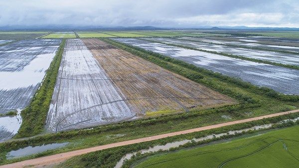 39 تريليون دولار خسائر فقدان الأراضي الرطبة بحلول عام 2050