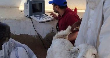 بحوث الصحراء يطبق لأول مرة تقنية السونار لتعزيز إنتاجية الثروة الحيوانية بحلايب والشلاتين