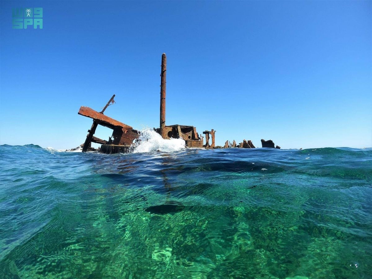 هيئة المتاحف تدعو الباحثين للمشاركة في مؤتمر البحر الأحمر بنسخته الـ12