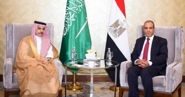 وزير الخارجية: نرفض أى محاولات يائسة للمساس بالعلاقات المصرية - السعودية