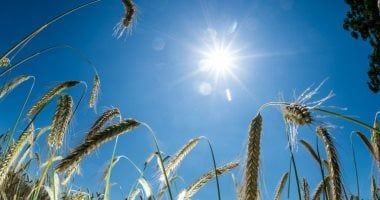 الحسابات الفلكية تكشف موعد نهاية الصيف وبداية فصل الخريف 2025