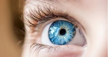 مش بس الجزر.. أطعمة شائعة تحسن الرؤية بشكل طبيعي