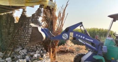 إزالة 38 حالة تعدٍ على الأراضى الزراعية خلال حملات فى الجيزة