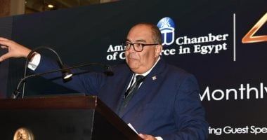 محمود محيي الدين: التغلب على أزمتى الديون والتنمية يتطلب الاعتماد على التمويل الوطنى