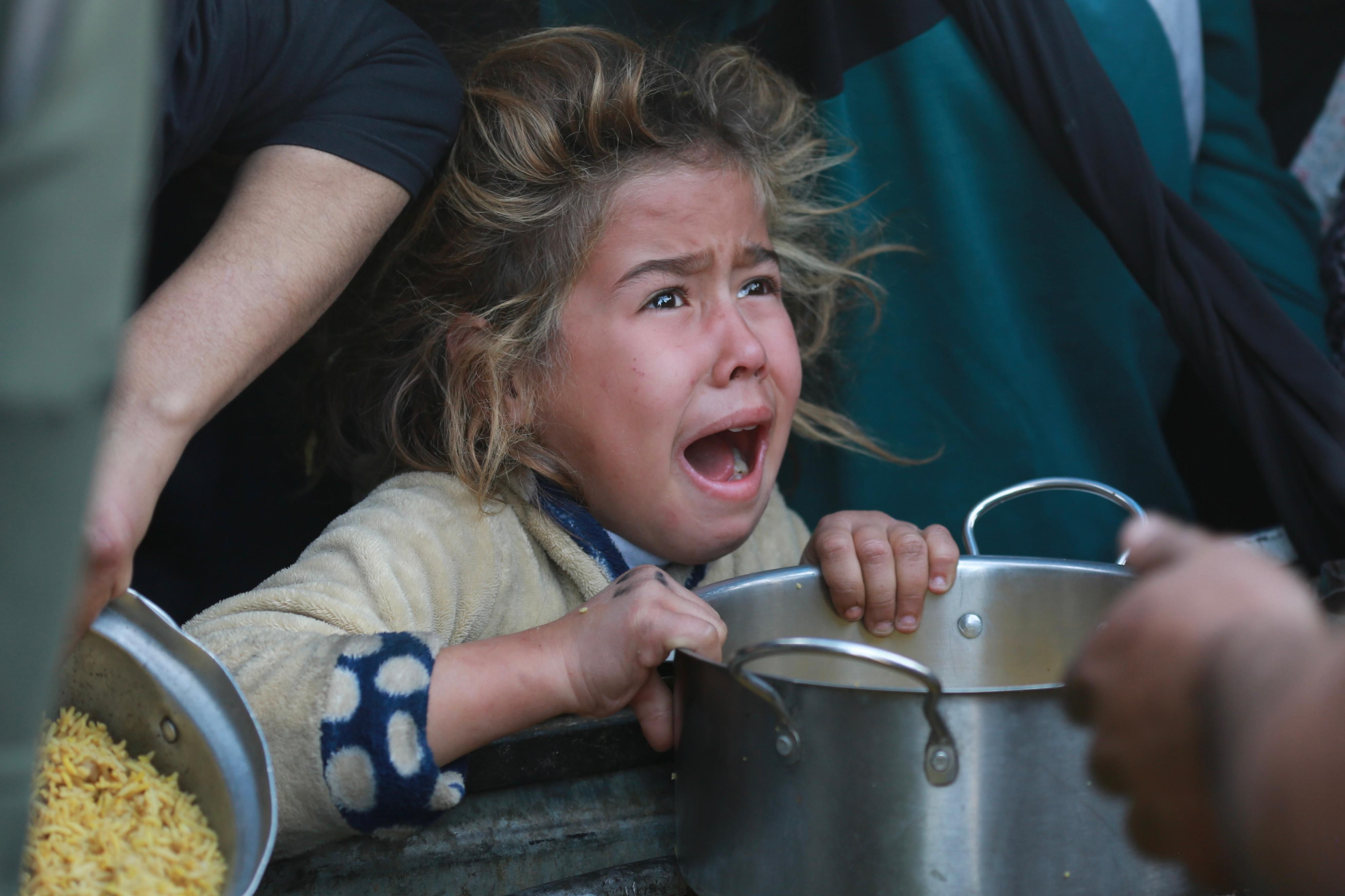 مصورو غزة يوثقون المجاعة ومعاناة الفلسطينيين فى القطاع.. صور