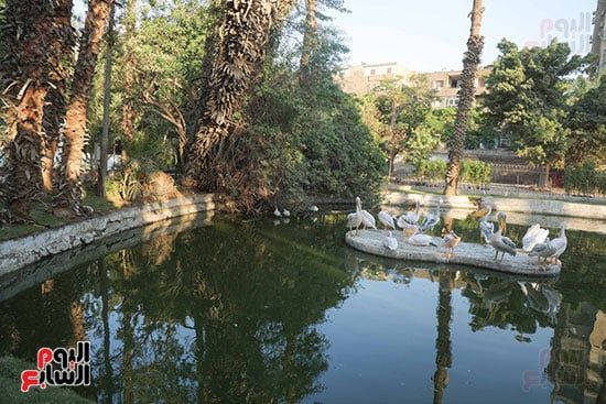 شاهد تجهيزات وتطوير حديقة الحيوان بالجيزة تمهيدا لافتتاحها "فيديو وصور"