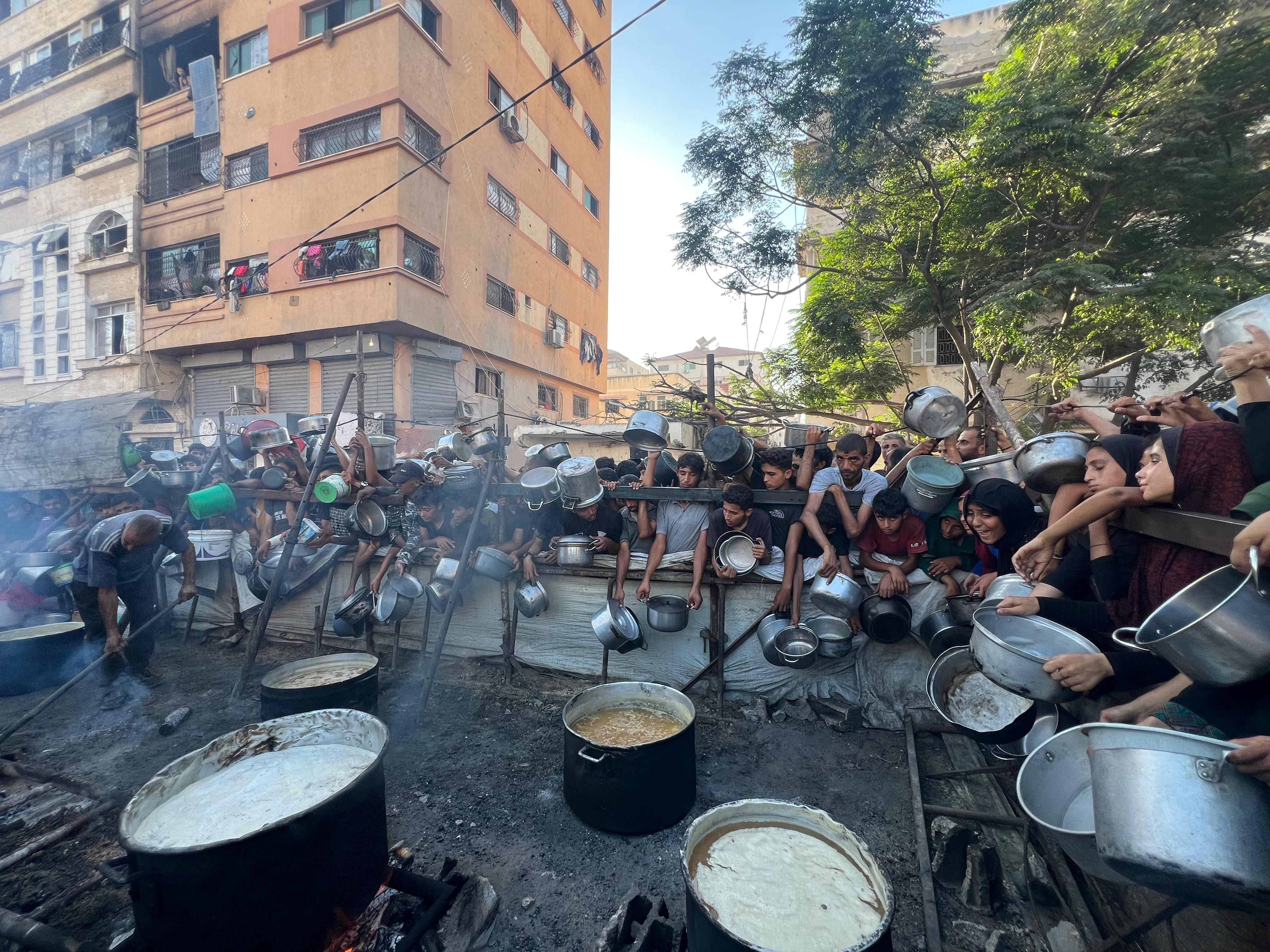 مصورو غزة يوثقون المجاعة ومعاناة الفلسطينيين فى القطاع.. صور
